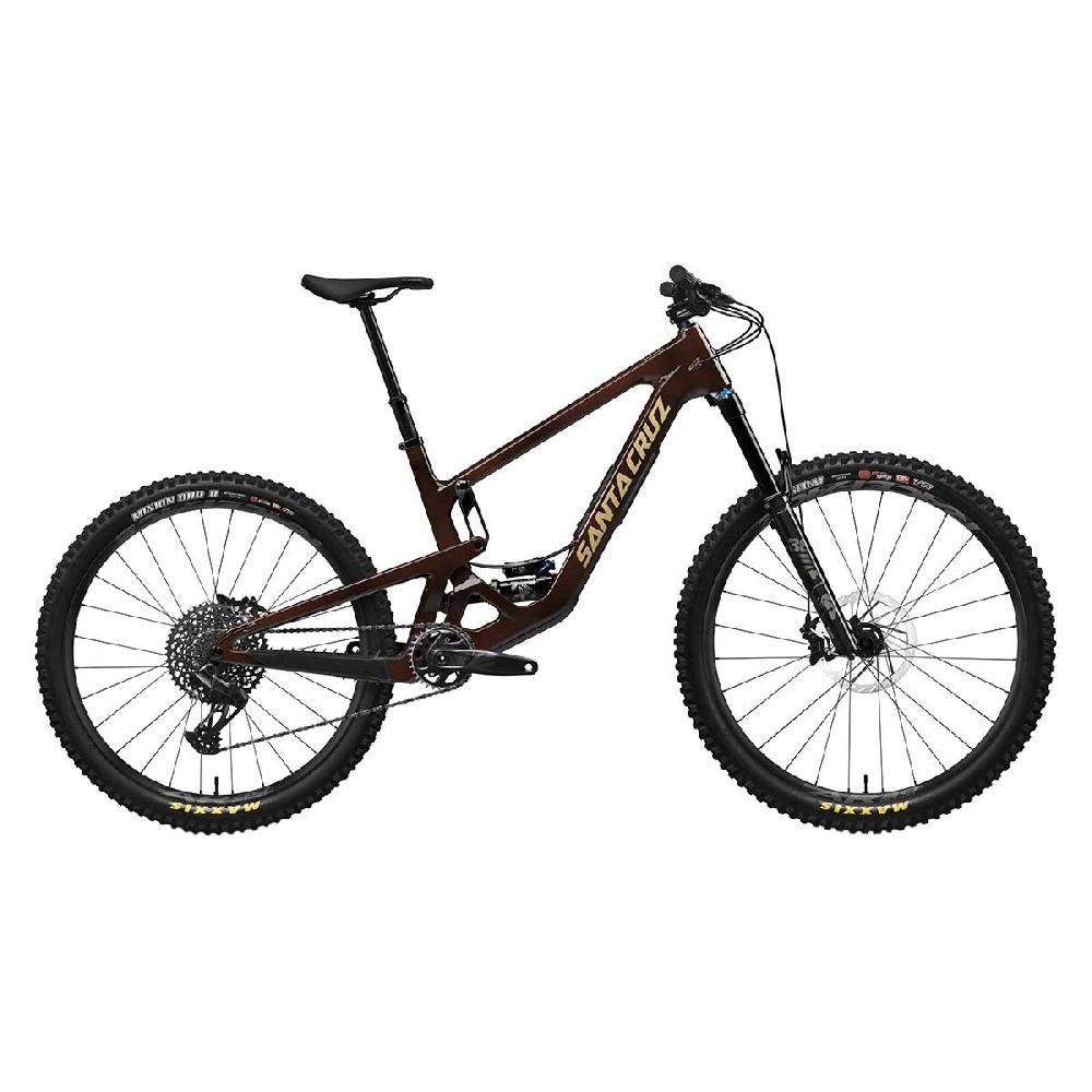 Santa Cruz Bronson